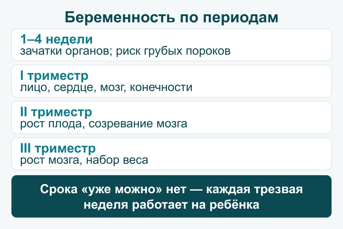 Схема: беременность по периодам — 1–4 недели зачатки органов, I триместр лицо и сердце, II триместр рост и мозг, III триместр рост мозга и вес